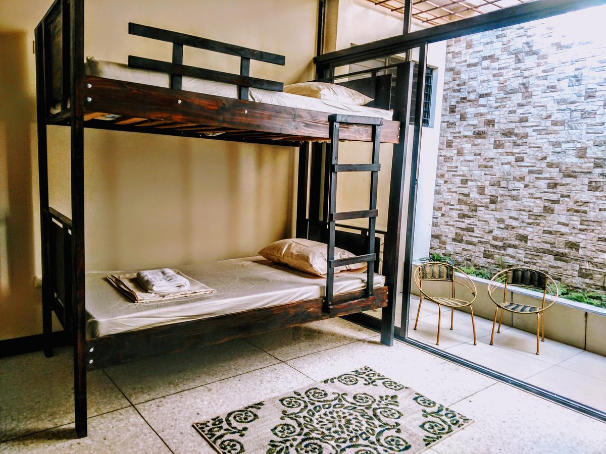 Stray Cat Hostel San Jose (San Jose)