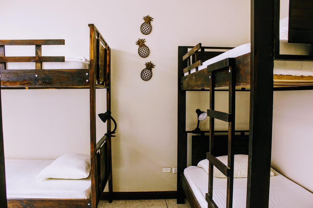 Stray Cat Hostel
